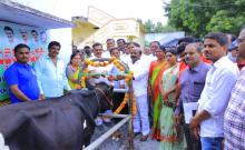 Villages are green with dairy crops